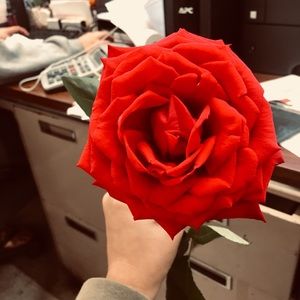 Meet your Posher, Drewcole1215